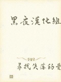 黑夜汉化组