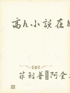 高h小说在线看