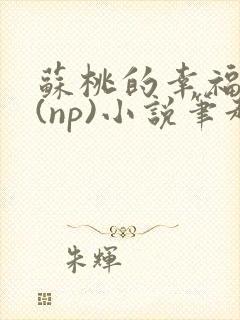 苏桃的幸福生活(np)小说笔趣阁沐沐