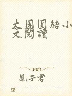 大团圆结小茹全文阅读