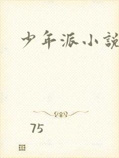 少年派小说