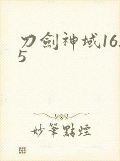 刀剑神域16.5