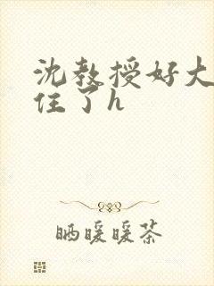 沈教授好大含不住了h