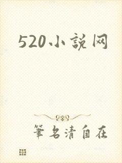 520小说网