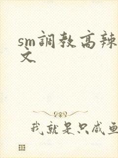 sm调教高辣h文封面