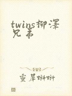 twins柳泽兄弟