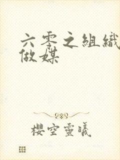 六零之组织给我做媒封面