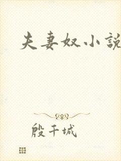 夫妻奴小说