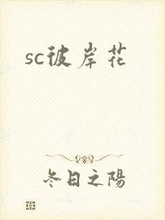sc彼岸花封面