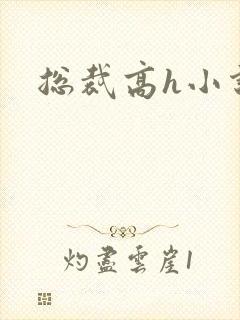 总裁高h小说