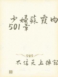 少妇苏霞肉欲第501章