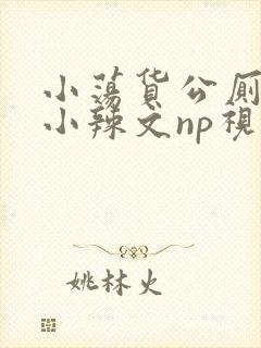 小荡货公厕h文小辣文np视频封面