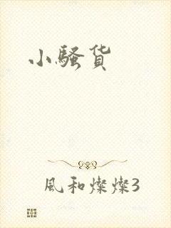 小骚货封面