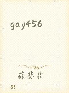 gay456封面