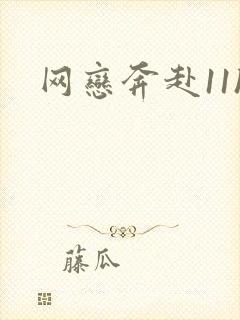 网恋奔赴11h