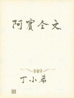 阿宾全文