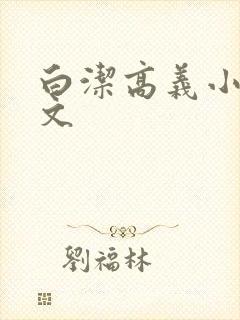 白洁高义小说全文