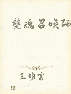 双魂召唤师