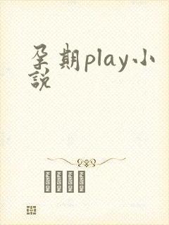 孕期play小说