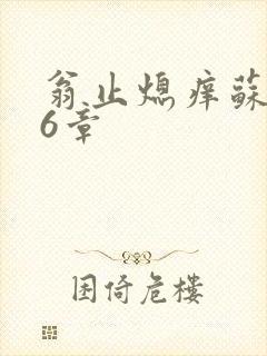 翁止熄痒苏玥第6章