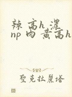 辣 高h 浓 np 肉 黄高h