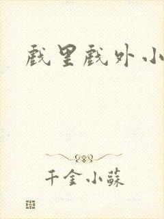 戏里戏外小说