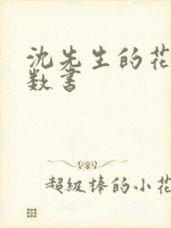 沈先生的花式调数书