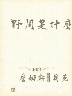 野周是什么意思