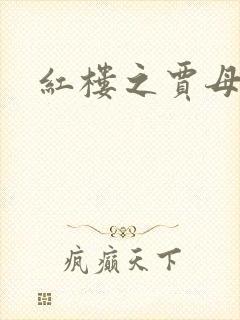 红楼之贾母封面