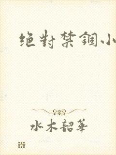 绝对禁锢小说