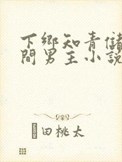 下乡知青储物空间男主小说