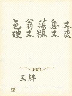 色翁荡息又大又硬又粗又爽