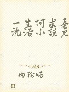 一生何求秦菲雪沈浩小说免费阅读全文封面