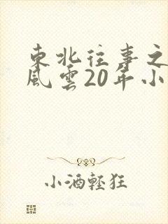 东北往事之黑道风云20年小说