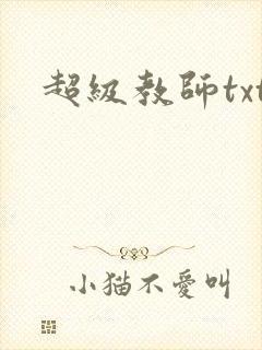 超级教师txt