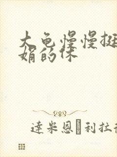 大龟慢慢挺进张娟的休封面