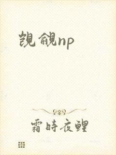 觊觎np