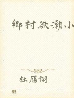 乡村欲潮小说封面