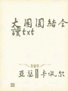 大团圆结全文阅读txt