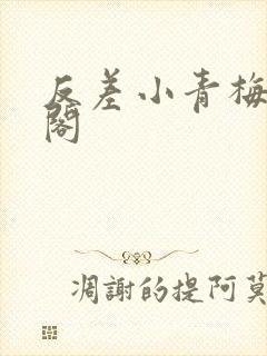 反差小青梅笔趣阁