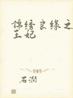 锦绣良缘之北地王妃