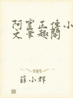 阿宾正传小说全文笔趣阁封面