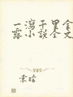 一泻千里金银花露小说全文免费阅读