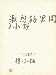 激烈的男同(h)小说