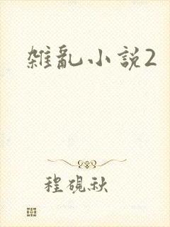 杂乱小说2