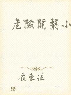危险关系小说封面