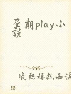 孕期play小说