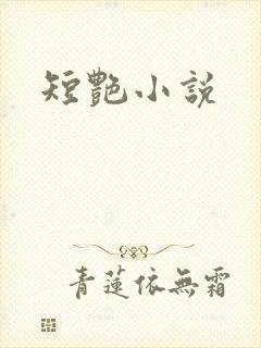 短艳小说封面