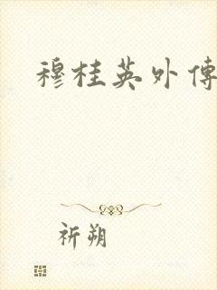 穆桂英外传
