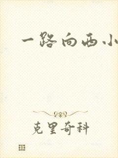 一路向西小说